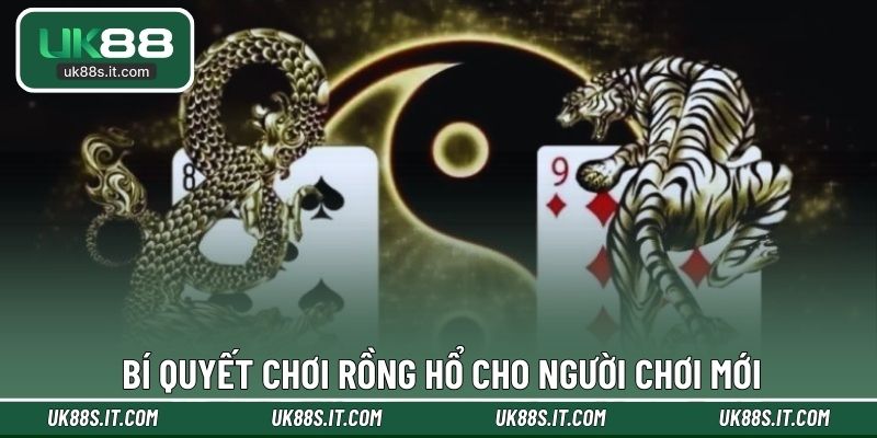 Bí quyết chơi Rồng Hổ cho người chơi mới