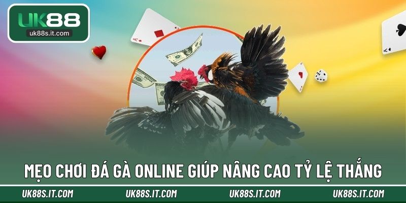 Mẹo chơi đá gà online giúp nâng cao tỷ lệ thắng
