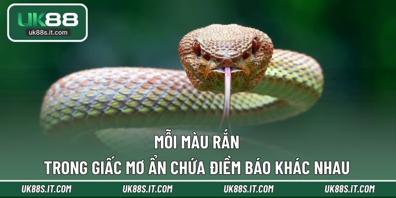 Mỗi màu rắn trong giấc mơ ẩn chứa điềm báo khác nhau