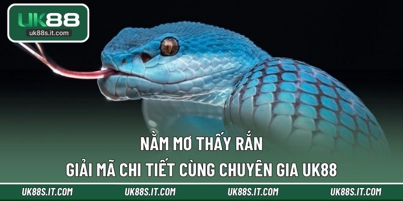 Nằm mơ thấy rắn
