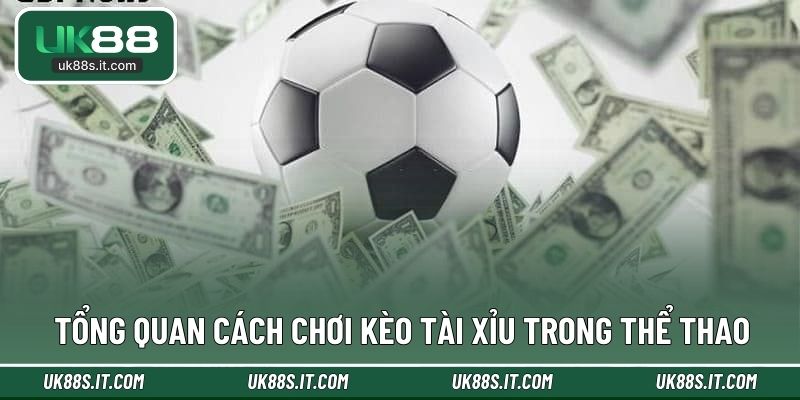 Tổng quan cách chơi kèo tài xỉu trong thể thao