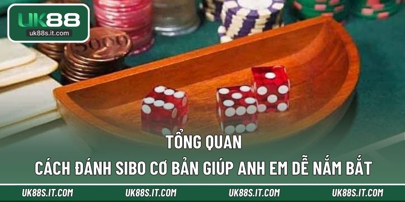 Tổng quan cách đánh SIBO cơ bản giúp anh em dễ nắm bắt